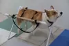 Soporte para Baño de Gatos, Soporte para Cortar Uñas, Hamaca de Aseo para Mascotas Anti-Arañazos y Anti-Mordeduras para Perros Pequeños, Herramienta para Baño de Perros