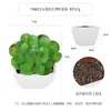 Más de 100 Tipos de Combinaciones de Plantas Suculentas Artificiales en Maceta Mini, Ventas Transfronterizas Populares, Estilo Sencillo Decoración del Hogar Flores Artificiales y Plantas Verdes, Directo de la Fábrica Fuente