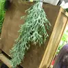 Helecho Colgante Estilo Bosque Techo Pared Verde Planta Decoración Enredadera Tipo Hilo Colgante de Helecho