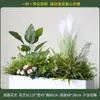 Caja de flores decoración flores y plantas arreglo floral producto terminado adorno de planta verde venta de restaurante oficina mampara canaleta de flores paisajismo biónico