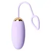 Garota Misteriosa - Vibrador Vibrante Controle Remoto Sem Fio Dispositivo Feminino Masturbação Brinquedo Privado Produtos para Adultos Atacado