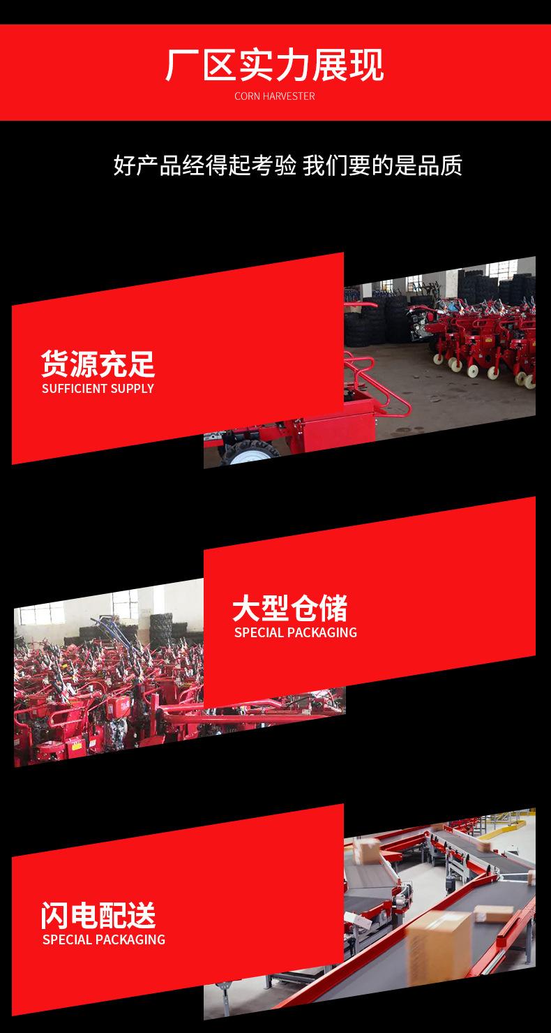 玉米4_01_09