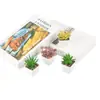 Planta Suculenta Simulada Vaso de Plástico Bonsai Mini Pequeno Quadrado Planta em Vaso Es0510 Alta Simulação Planta Verde