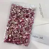 Polvo de Cristal Diamantes para Uñas de Fondo Plano Venta al por Mayor 1440 Rosa Flor de Cerezo Corazón Torcido Cubo de Azúcar Gota de Agua Diamantes para Uñas de Forma Especial