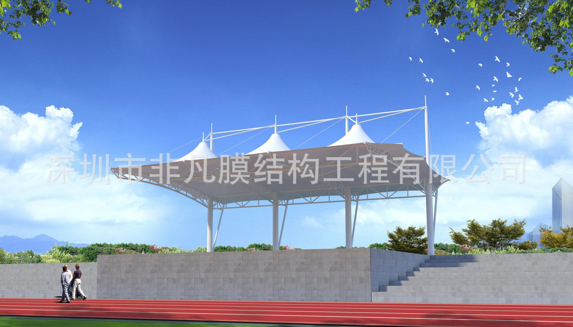 泰诺设计 (317)
