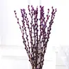 Salgueiro Prateado Flor Real Galho Fresco Flor Seca Ornamento Planta Verde Hidropônica de Interior Ano Novo Balde Vermelho da Sorte Flor Atrai Sorte Véspera de Ano Novo Planta em Vaso