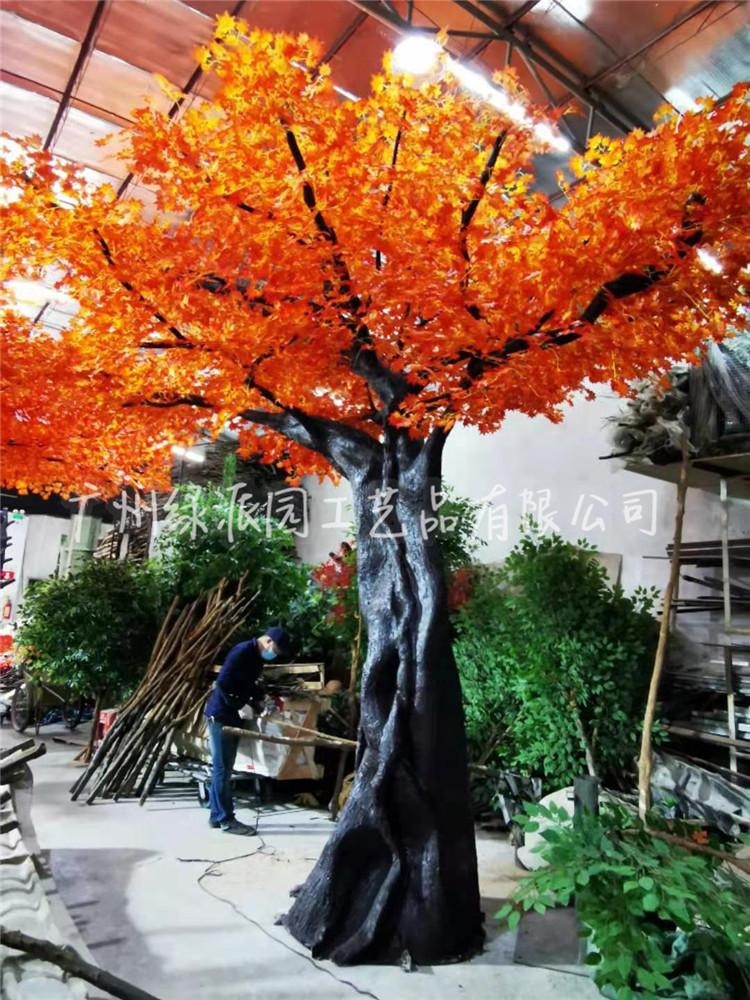 枫树红枫树绿枫169.jpg
