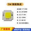 Fornecimento de Fonte de Luz Cob com Montagem Flip 4640 Integrada 5W-100W Holofote de Alta Potência Luz LED Solar Sem Driver