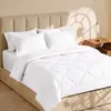 Juego de ropa de cama de cuatro piezas de color sólido cepillado en stock transfronterizo de Amazon, juego de ropa de cama de cuatro piezas de lujo ligero y alta gama