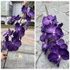 Nueva simulación Hu Jilan fábrica de comercio exterior 9 Hu Jilan blanco boda mano sosteniendo camino plomo decoración flores falsas al por mayor