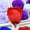 Flor Mágica Flor Eterna Clase A 4-5 Rosa Rueda de la Fortuna Demonio Azul Unicornio diy Yunnan Material de Flor Seca