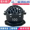 Válvula de Fundo com Flange H42X-6 Válvula de Retenção Válvula de Verificação Ferro Fundido Válvula de Fundo para Bomba de Água Dn50 80 100 150 200