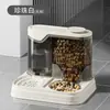 Comedouro para Animais de Estimação Tigela Integrada para Gato Tigela para Cachorro Água Comida Comedouro Bebedouro Integrado Dispensador de Água Dois em Um Atacado