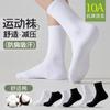 Calcetines Gruesos de Algodón para Hombre para Otoño e Invierno, Calcetines de Media Pantorrilla Absorbentes del Sudor y Resistentes al Olor, Calcetines Blancos Largos Deportivos Antibacterianos Zhuji