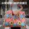 Nueva Bolsa de Compras Plegable Ecológica Bolso de Mano Satchel de Tela Oxford 210D Bolsa de Almacenamiento Gran Capacidad Bolsa de Compras para Supermercado