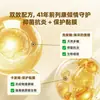 Apósito de Gel de Quitosano para la Próstata para Prostatitis, Hipertrofia, Hiperplasia, Micción Frecuente, Urgencia Urinaria, Dificultad para Orinar y Dolor. OEM Disponible