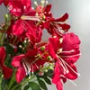 5 Flores Artificiales Tipo Lirio Bauhinia para Decoración de Salón de Bodas, Flores de Seda para Arreglo en Jarrón Alto, Flores Falsas Decorativas