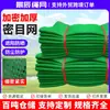 Malla Fina Red de Seguridad Obra de Construcción Andamio Red de Protección de Seguridad Trabajo en Altura Sitio de Construcción Malla Fina Verde