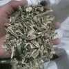Mayorista Cardo Santo Alfalfa Tallo. Hierba de San Juan Hierba Mágica Materias Primas Amazon Estación Internacional Granel