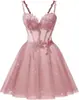 Estilo Nuevo 2026 Elegante Ceñidor de Cintura Sin Tirantes Malla Fiesta de Cumpleaños Dama de Honor Vestido de Noche para Mujeres, Suministro Transfronterizo