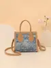 Bolso Pequeño Casual Nuevo Tendencia Denim Primavera y Verano 2025 Bolso Cruzado Estilo Acolchado Bolso de Hombro Maletín Bolsa Cuadrada Pequeña