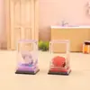 Decorações de Mesa de Entrada para Sala de Estar Pedras de Cura Carimbos com Nome da Família Decoração Criativa para Casa Lembrancinhas Dropshipping