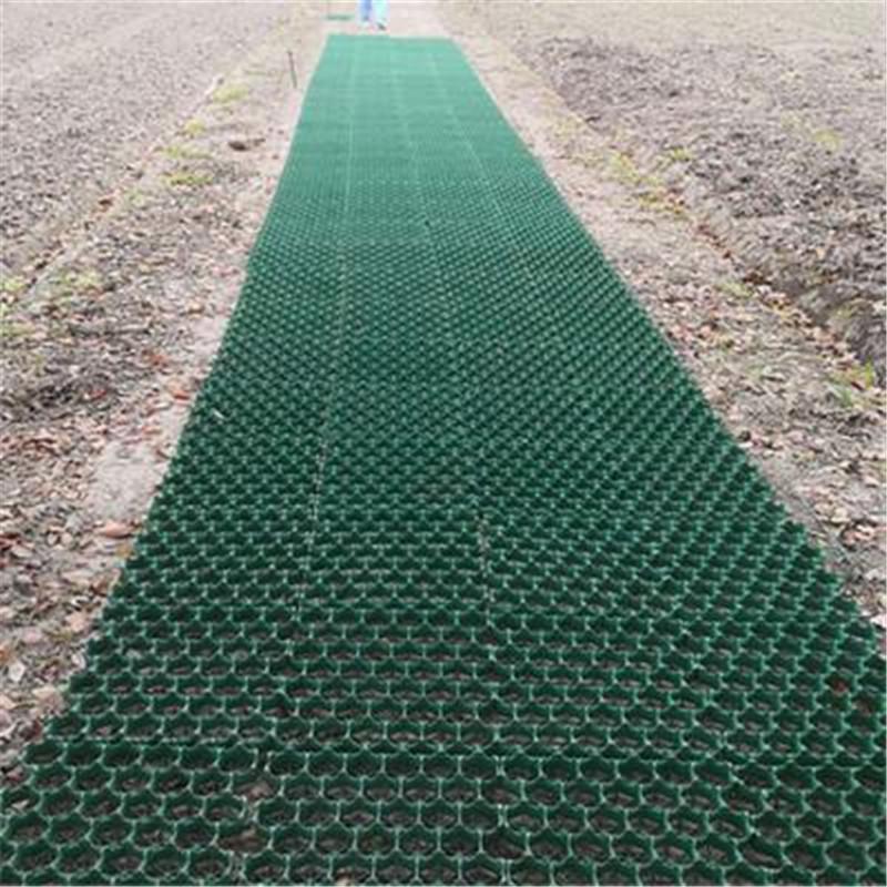 u=4030454895,4047536819&fm