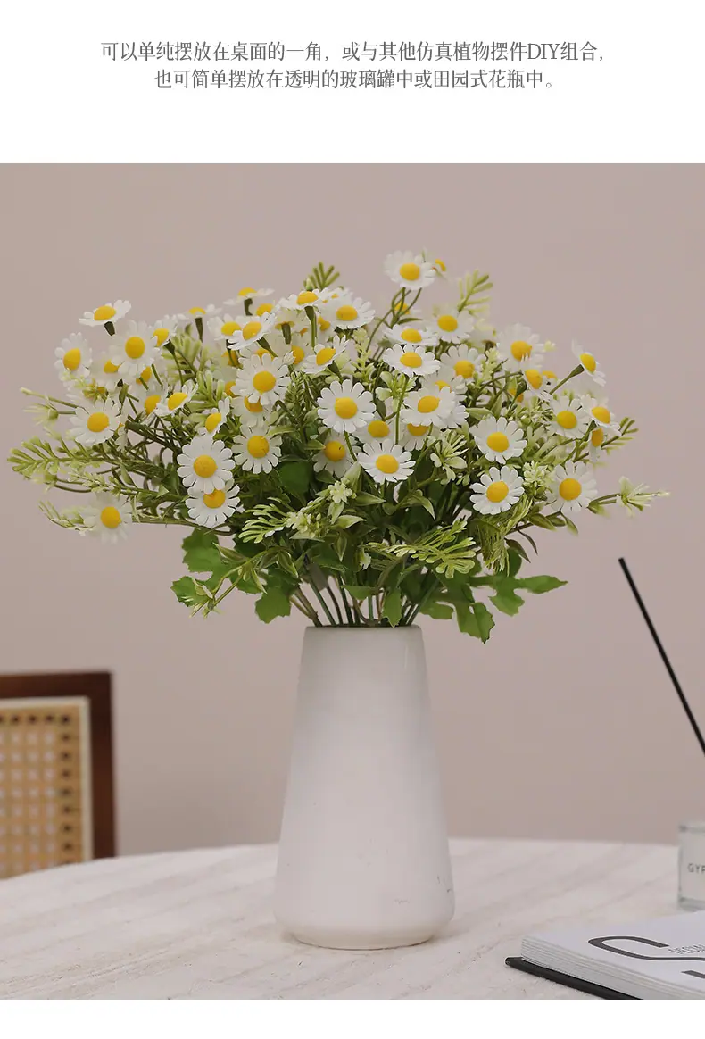 元霜春把束小雏菊_06.jpg