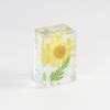 Nuevo creativo plástico flor seca libro pueblo manualidades espécimen de flor real resina micro paisaje decoración decoración lugar escénico caliente