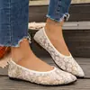 Comercio exterior transfronterizo talla grande otoño 2026 nuevos zapatos planos de punta para mujer, modernos zapatos bajos sin cordones de malla