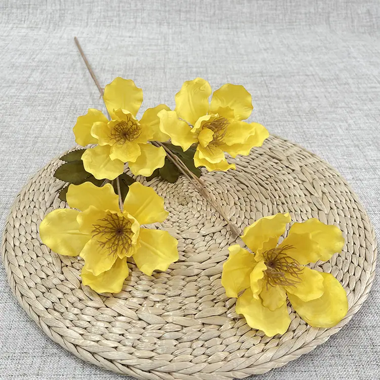 4头大芙蓉花-黄色.JPG