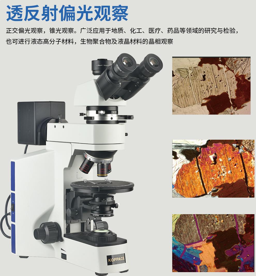 详情05.jpg