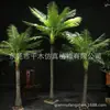 Decoración de accesorios de plantas artificiales varilla de plástico árbol de betel artificial girasol abanico de simulación coco pequeño Pukui fabricante
