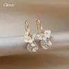 Pendientes de Flor de Perla con Circonita Francesa Ultra Brillante Pendientes Largos de Lujo Ligero con Aspecto de Alta Gama Pendientes de Moda con Temperamento Accesorios de Pendientes Retro para Mujer
