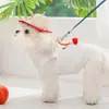 Roupas de Primavera e Verão para Pets, Tecido Fino Respirável que Absorve Suor, Coleira Peitoral com Estampa de Frutas para Cachorros Pequenos Bichon, Roupas para Cachorros Pequenos