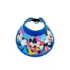 Sombrero de Sol de Héroe de Dibujos Animados 3D Spiderman Elsa Princesa Protección Solar Sombrero de Sol para Niños y Niñas Verano Ala Ancha Sombrero de Sol