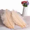 30-35cm Plumas de Avestruz Lámpara de Plumas Arreglo Floral de Plumas de Avestruz Plumas de Boda