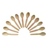 Atacado de fábrica Colher de madeira de lótus logo a laser Colher de mel colher para geleia infantil colher de madeira colher de chá