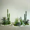 Cactos e Suculentas Artificiais Atacado para Paisagismo, Paisagens com Plantas Falsas Tropicais e Desérticas