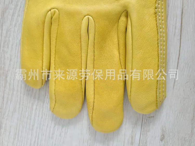 98ff4d60f8653b52452168a8e1bbfd