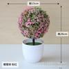 Planta de Simulación Hongyun Maceta Bola de Hierba Bonsái Árbol Pequeño Adornos de Flores Decorativos para el Hogar Mini Bola Creativa Sakura Bola de Nieve