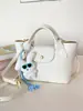 Mini Bolso Tote Cuadrado de Alta Calidad Transfronterizo Mini Bolso de Mano Cesta de Verduras Nuevo Bolso Dumpling Bandolera de Hombro Único para Mujer
