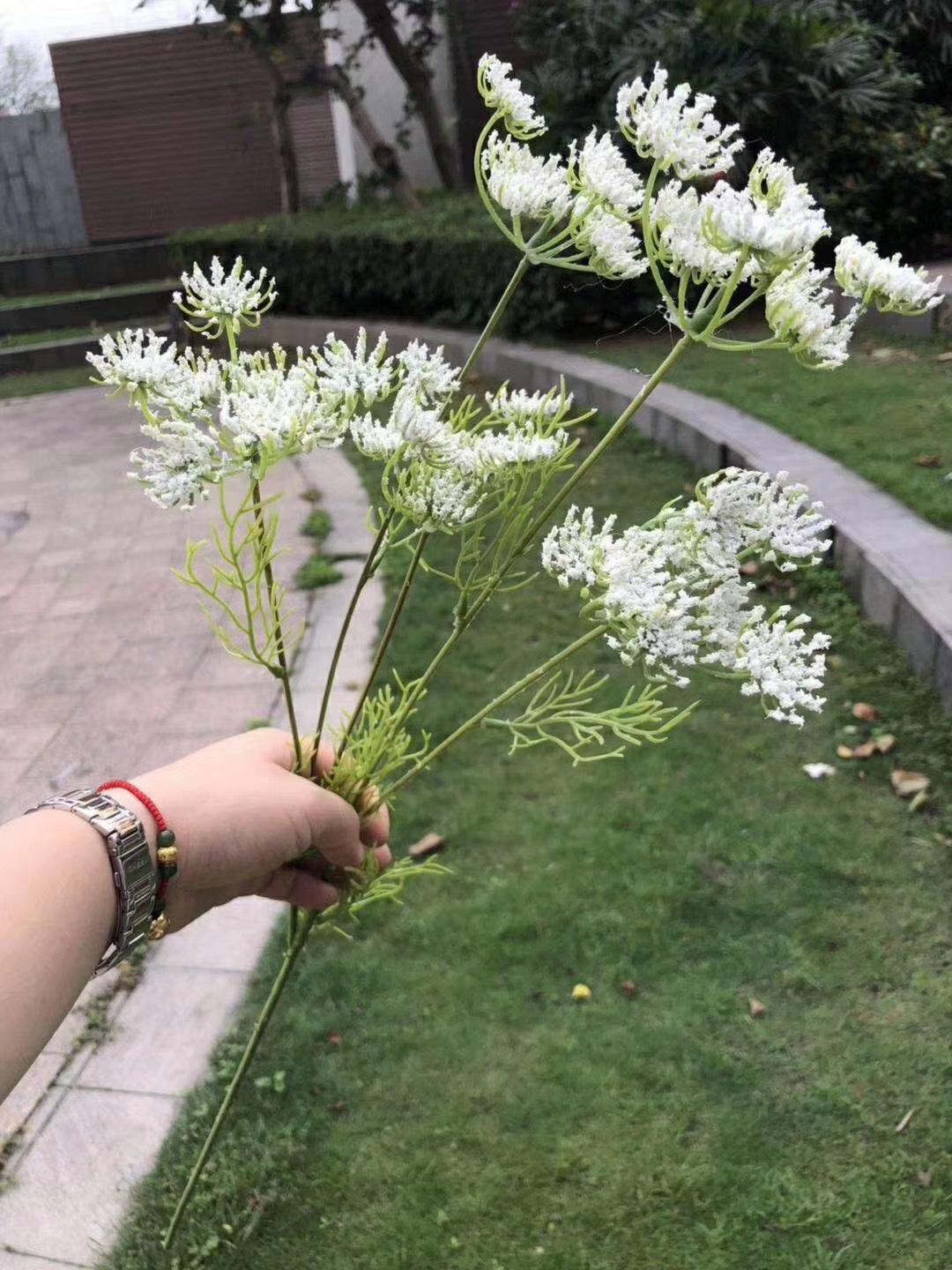 微信图片_20191022140949