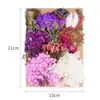 Flores Secas DIY Flores Imortais Pétalas de Flores Naturais Relevadas Pacote de Material Relevado Vela de Aromaterapia Fabricante de Material Floral Atacado