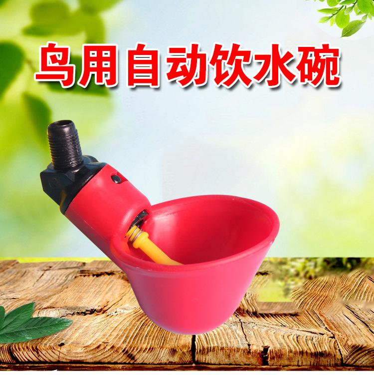 小红碗详情_01
