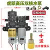 Bomba de Agua para Motor de Pulverizador Eléctrico Agrícola de 12V Máquina de Alta Presión Accesorios Bomba Autocebante de Doble Núcleo de Alta Potencia
