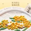 Pastilhas de Fragrância Sólida de Osmanthus para Uso Doméstico, Pendentes Perfumados para Guarda-Roupa, Enfeites Perfumados com Óleo Essencial para Carro, Pastilhas de Gesso com Fragrância de Longa Duração