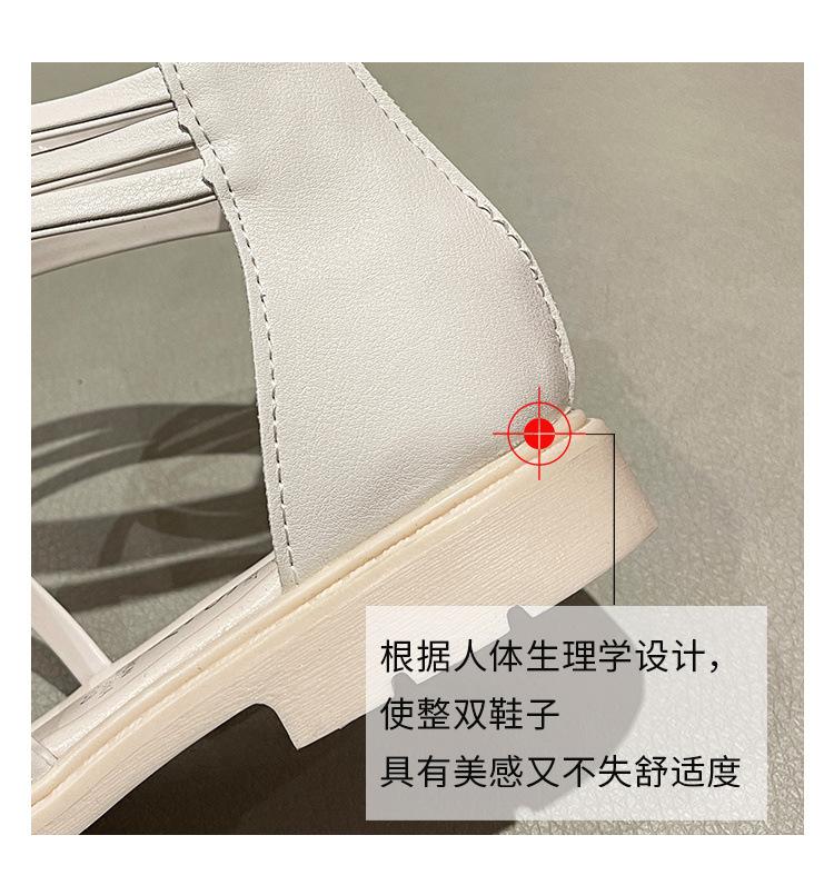 14278a95-47c9-4a19-88f8-a6a411c6f2a4.jpe