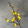 Serie de Flor de Ciruelo Simulada 3D: Pequeña Rama de Ciruelo de Invierno de Tres Púas para Decoración de Sala de Estar en Casa y Accesorios de Fotografía, Flor de Ciruelo Blanca