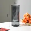 Glaciar de Vientre Grande Vidrio Transparente Jarrón Moderno Simple Arreglo Floral Nutrición de Agua Sala de Estar Mesa de Comedor Estilo Ins Adornos Decorativos